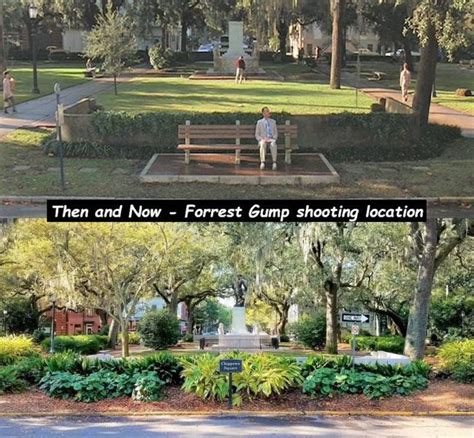 Forrest Gump Bench Location ~ Wallpaper Robles