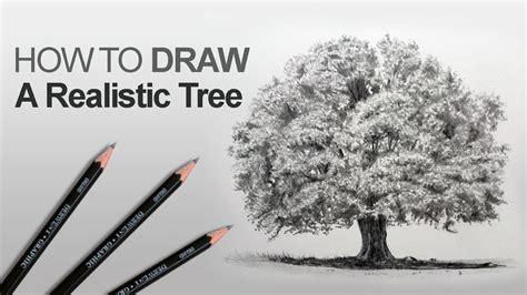 Realistic Easy Tree Sketch : Easy step by step drawing tutorials and instructions for beginner ...