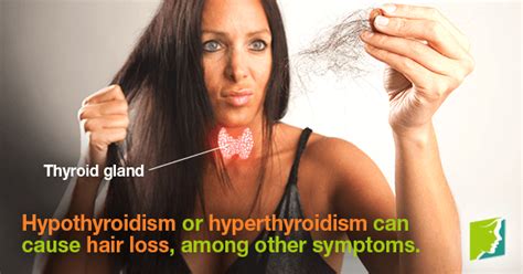 Thyroid Problems and Hair Loss | Menopause Now