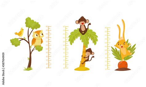 Height Chart for Kids with Funny Animals Vector Set Stock Vector | Adobe Stock