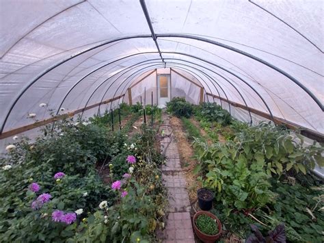 High Tunnels for Homeowners: Season Extension and Winter Gardening - Franklin County Free Press