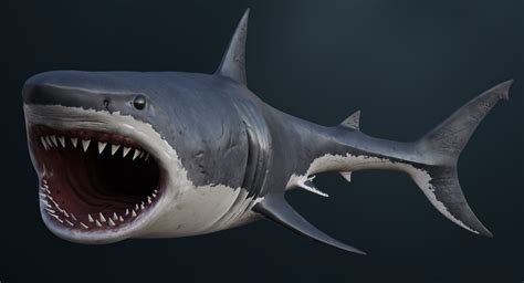 3D realistic great white shark model - TurboSquid 1215328