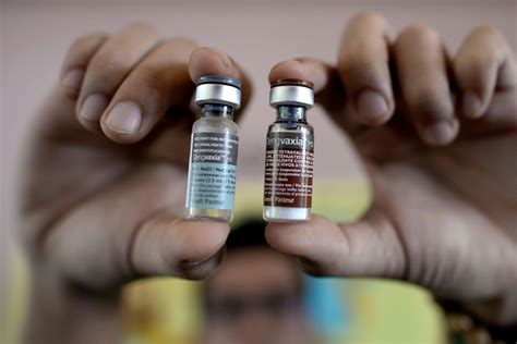 Philippines halts programme for 'dangerous' dengue fever vaccine given to 730,000 children | The ...