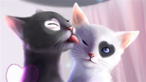 Black & White Cat (Love Heat, kiss, Art) Wallpaper