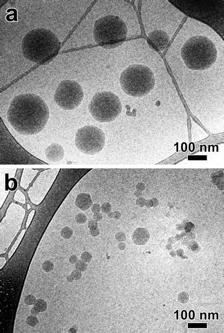 Efficient size control of amphiphilic cyclodextrin nanoparticles through a statistical mixture ...