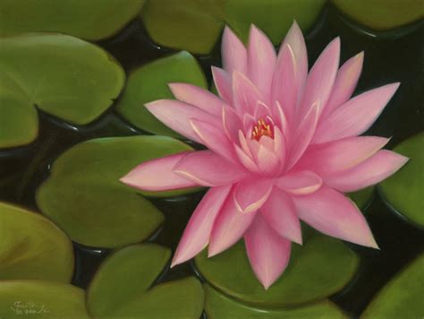 Pink Lotus Painting - Flower in Oils by Faith Te | Daily Paintings