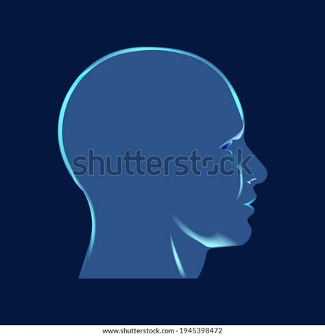 Head Profile Illustration Human Anatomy Vector Stock Vector (Royalty Free) 1945398472 | Shutterstock