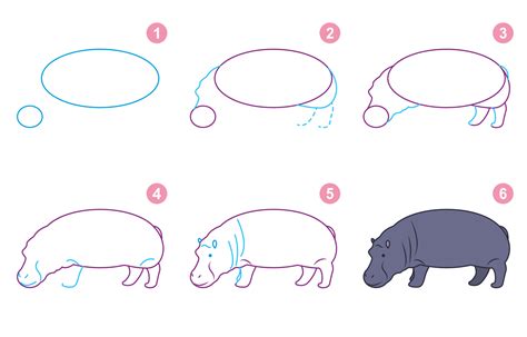 Instructions for drawing hippopotamus. Follow step by step for drawing ...