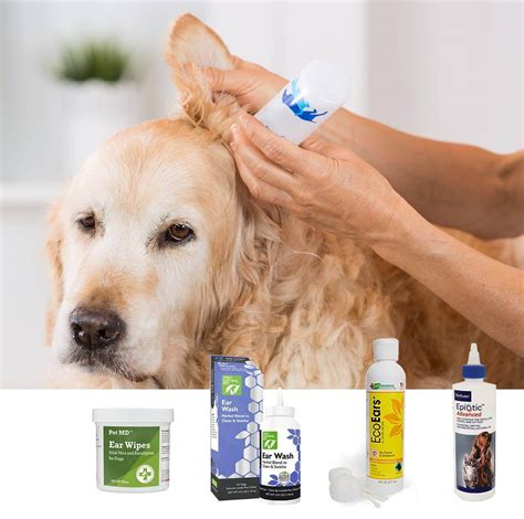 Dog Ear Cleaning Solution Recipe / Curicyn Ear Cleaning Solution for ...