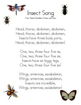 Insect Song by The Nurtured Mind | Teachers Pay Teachers