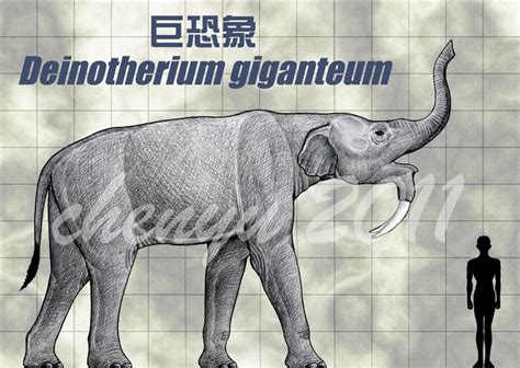 Deinotherium | Dinosaurs - Pictures and Facts