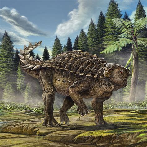 Australia's new armoured dinosaur revealed