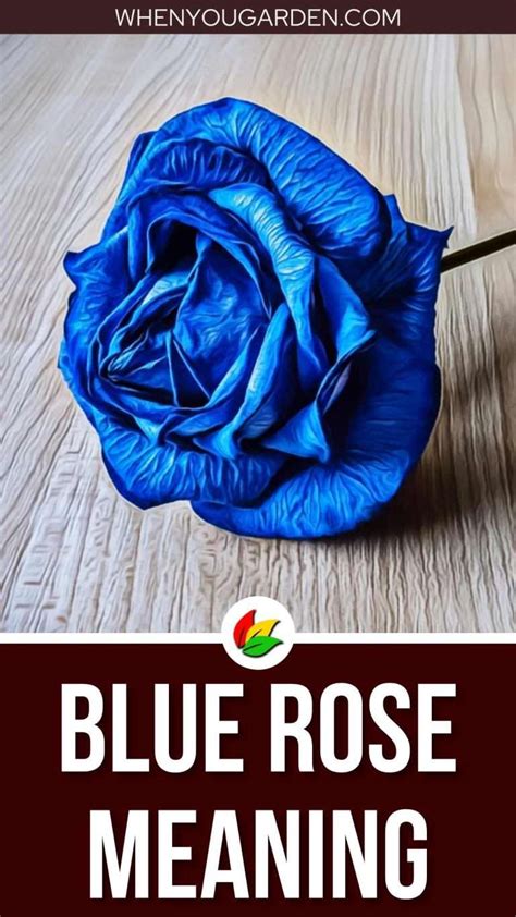 Blue Rose Meaning and Symbolism - WhenYouGarden.com