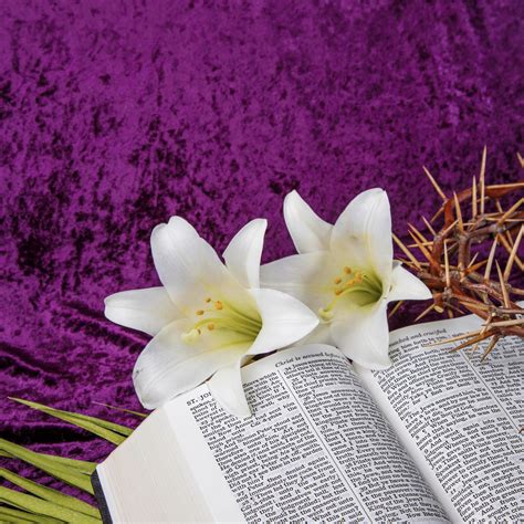 Meaning behind Easter Lilies - Courageous Christian Father