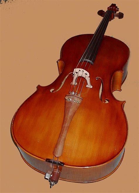 Free violoncello Stock Photo - FreeImages.com