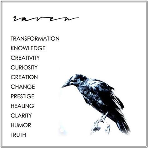 RAVEN MEANING | RAVEN SYMBOLISM | Raven and wolf, Animal spirit guides, Raven