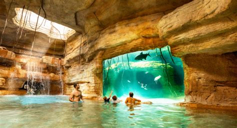 The Cove at Atlantis Bahamas: The Guide - NerdWallet