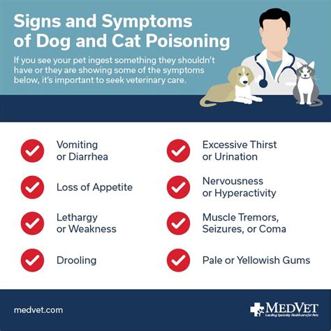 Signs and Symptoms of Dog and Cat Poisoning | Veterinary care, Pet health, Poison prevention