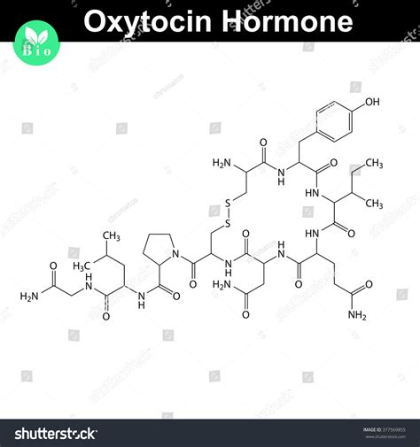 Oxytocin Hormone 2d Structure, Raster Model Of Molecule Stock Photo 377569855 : Shutterstock