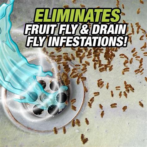 Fruit Fly Killer - Drain Fly Treatment - 32oz