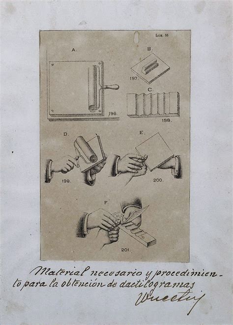 Fingerprinting: How Studying These Unique Patterns Forever Changed History