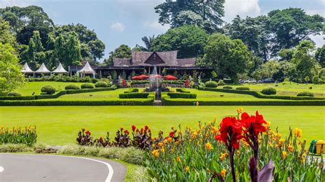 Botanical Garden Bogor Entrance Fee - Flower Garden Ideas