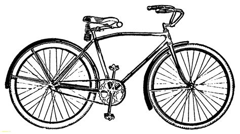 Bicycle Vector Art at GetDrawings | Free download