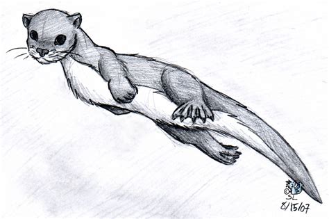 River Otter by The-Snowlion on DeviantArt