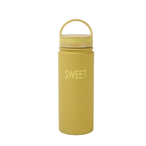 water bottle with handle 650ml – HI-Y001 - Reliable Water Bottle Manufacturer | Auland