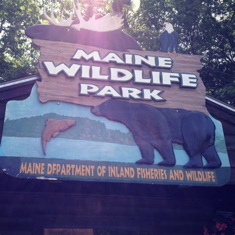 Maine Wildlife Park - New England Family Life