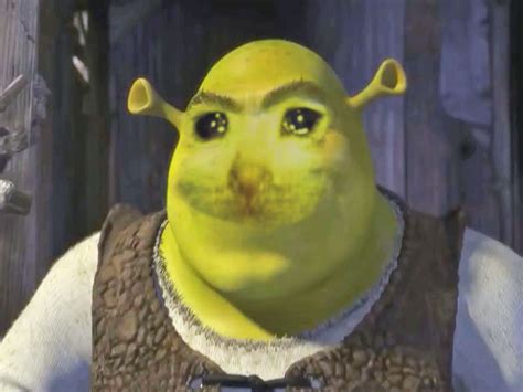 Shrek Meme Template Memes shrek jokes meme faces funny faces reaction pictures funny pictures ...