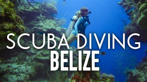 Diving Blue Hole Belize Youtube - Memugaa