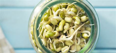 How to Make Bean Sprouts, Plus Benefits, Nutrition, Recipes - Dr. Axe