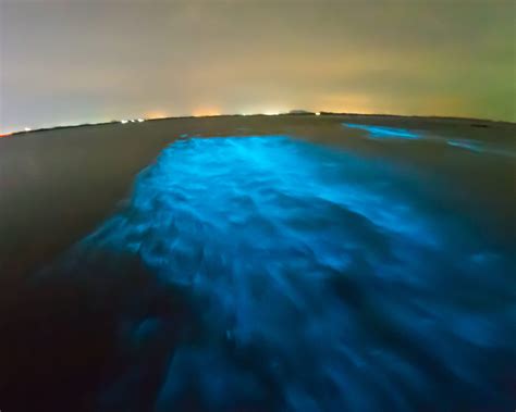 Bioluminescent Bay Puerto Rico| 3 Brightest Spots to See - Snorkel and Hike