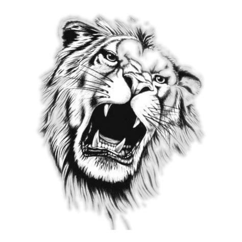 Roaring Lion Design