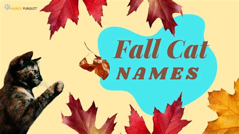 420+ Fall Cat Names [Fun Autumn-Inspired Ideas]