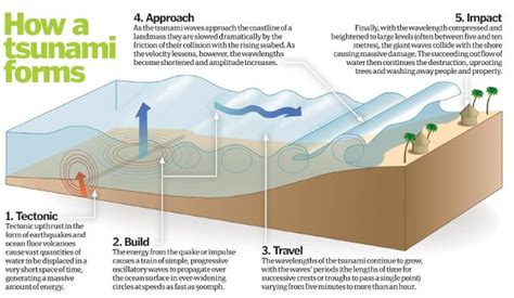 Causes of tsunami - GEOGRAPHY MYP/GCSE/DP