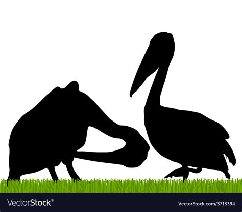 Pelican silhouette Royalty Free Vector Image - VectorStock