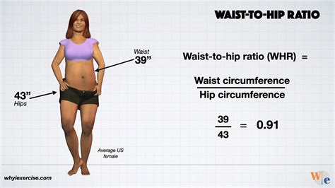 Waist-to-hip ratio: Reliable research shows if you need to lose weight