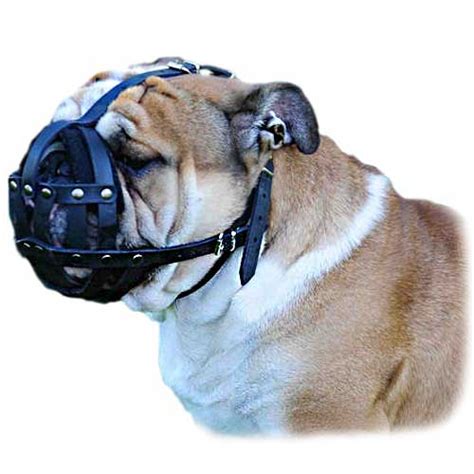 Walking Leather Dog Muzzle | Bulldog Muzzles