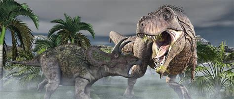 T-Rex Vs Triceratops. by TeddyBlackBear2040 on DeviantArt