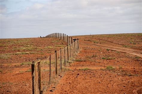 Dingo Fence - Alchetron, The Free Social Encyclopedia