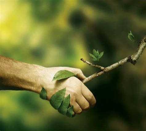 Our relationship to nature is more complex than just caring for the ...