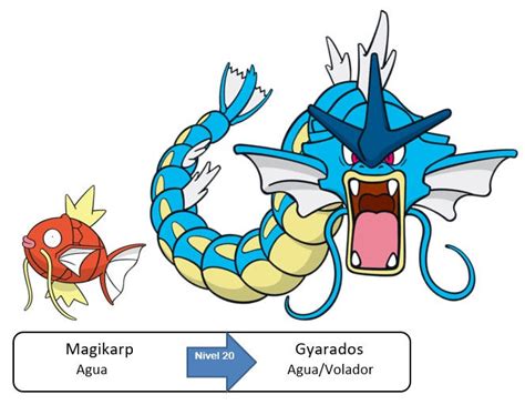 129 Magikarp Gyarados by PokeyFakemon on DeviantArt