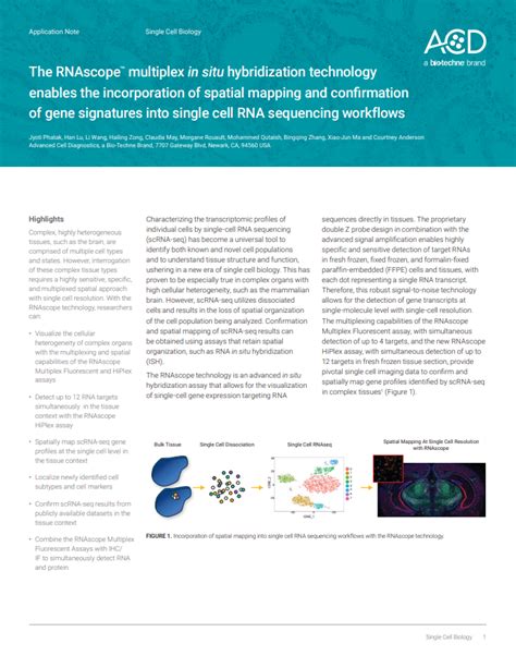 RNAscope™ multiplex in situ hybridization technology