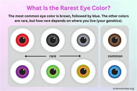 What Is the Rarest Eye Color?