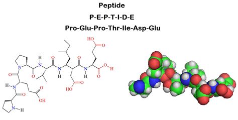 Introduction to Peptide Synthesis