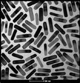 Gold Nanorod Synthesis