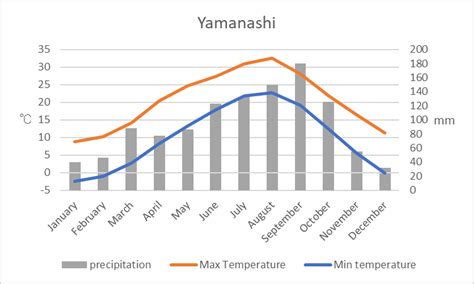 YAMANASHI | Paulonia