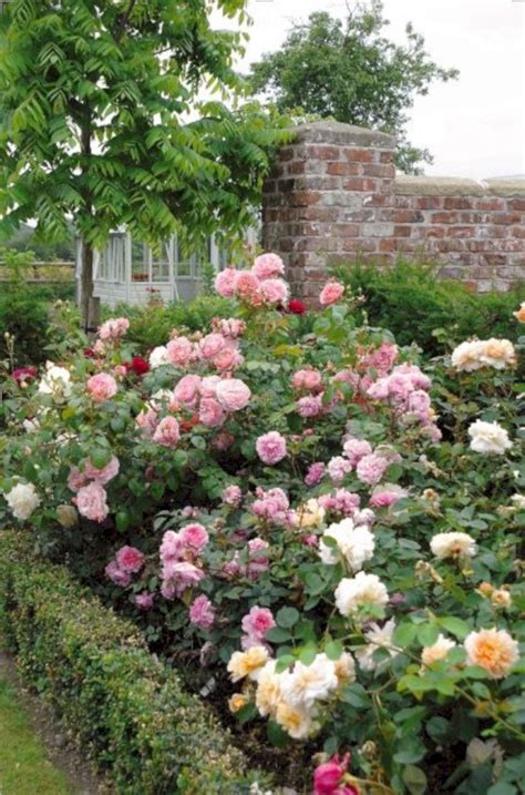 10+ Rose Garden Landscape Ideas